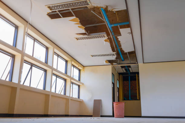 Best Mold removal after water damage  in Moorhead, MN
