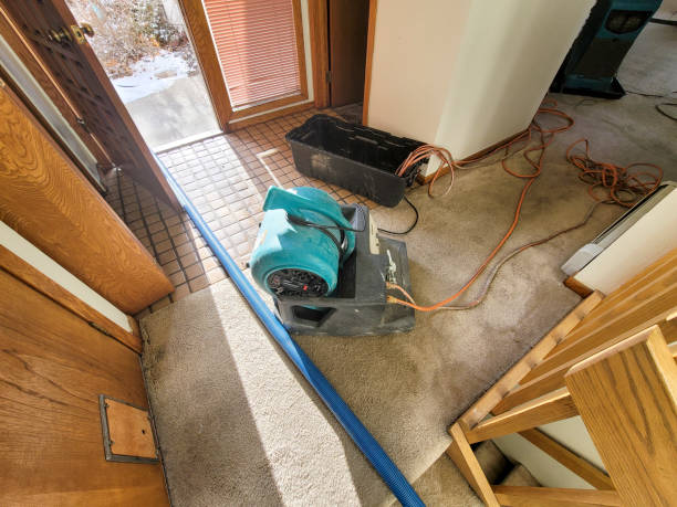 Best Water damage restoration company  in Moorhead, MN