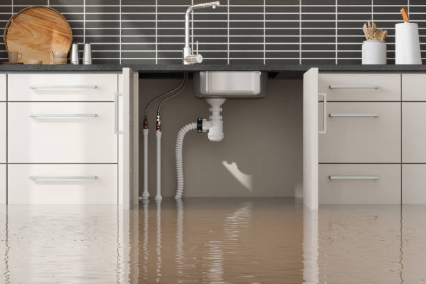 Best Ceiling water damage repair  in Moorhead, MN