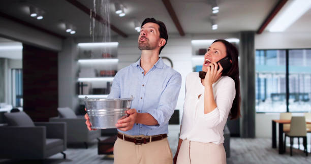  Moorhead, MN Water damage restoration Pros